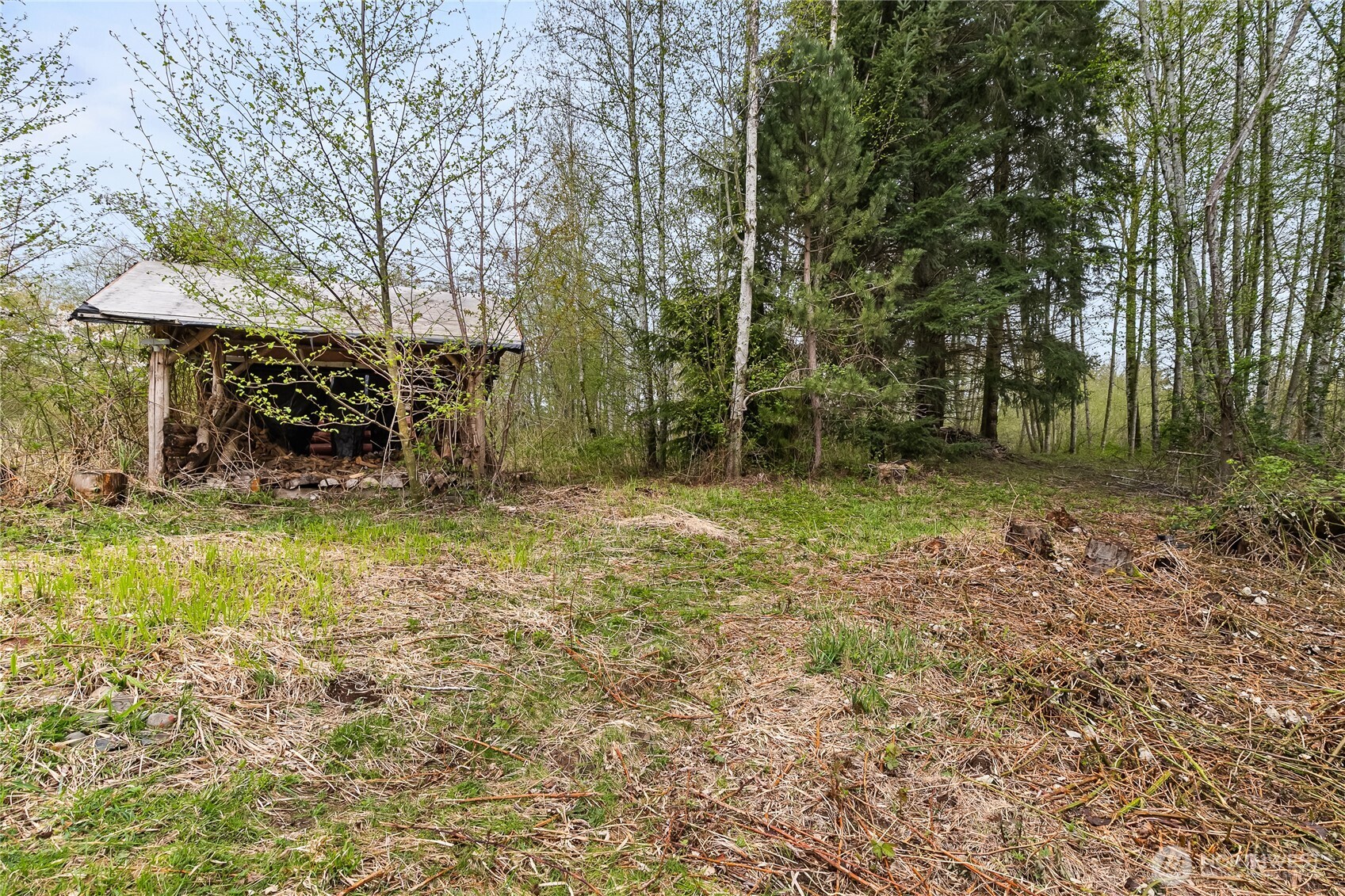 6557 Malloy Road Ferndale, WA 98248 - Photo 23 of 24 a view of a backyard with large trees