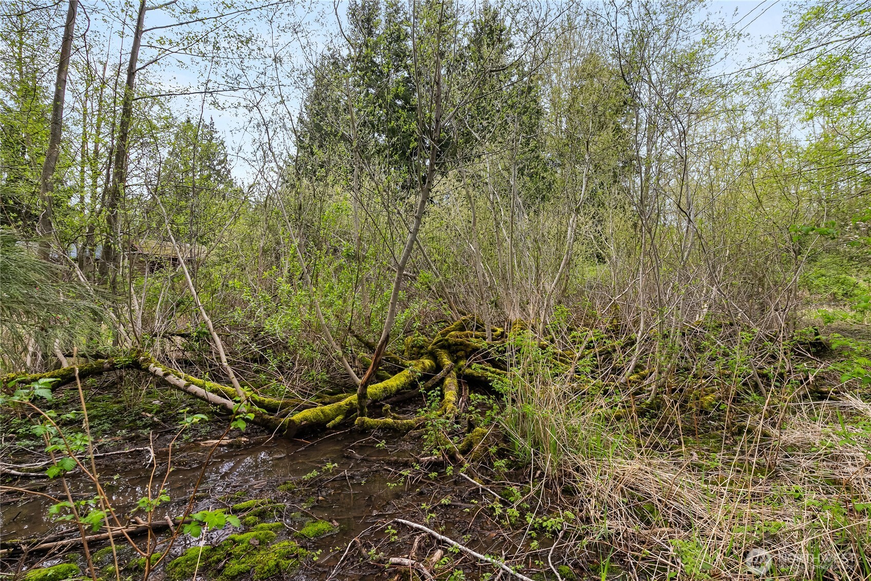 6557 Malloy Road Ferndale, WA 98248 - Photo 24 of 24 a view of a yard with plants and wooden fence