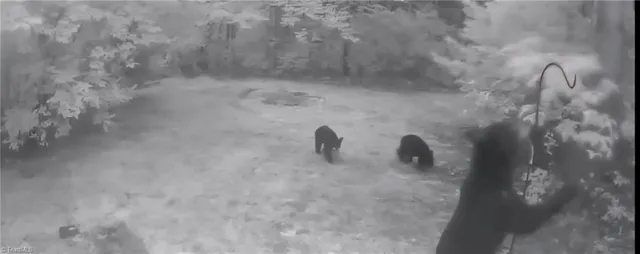 $299,900 | 582 Deer Crossing Lane, Lenoir, NC 28645