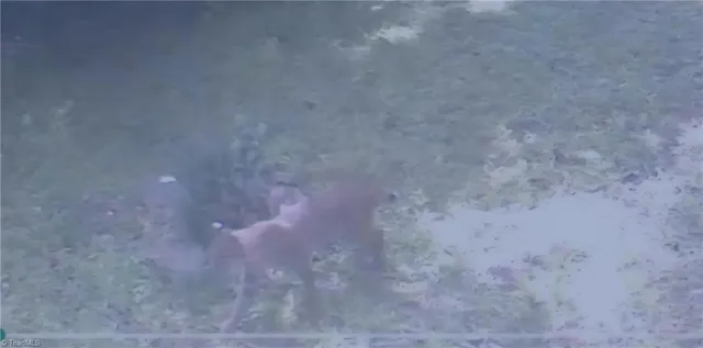 $299,900 | 582 Deer Crossing Lane, Lenoir, NC 28645