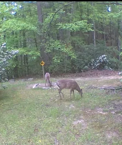 $299,900 | 582 Deer Crossing Lane, Lenoir, NC 28645