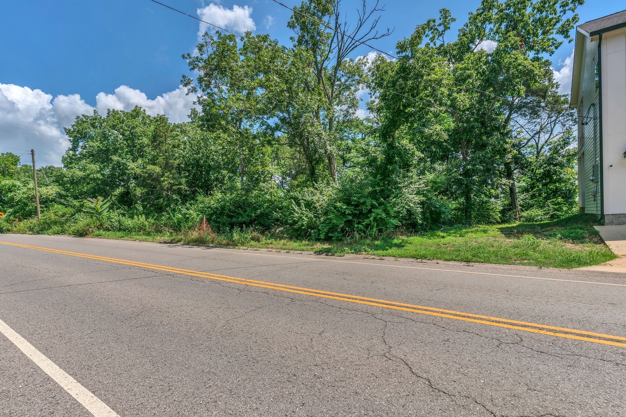 388 Rio Vista Drive Madison, TN 37115 - Photo 6 of 22 a view of a garden with a plants