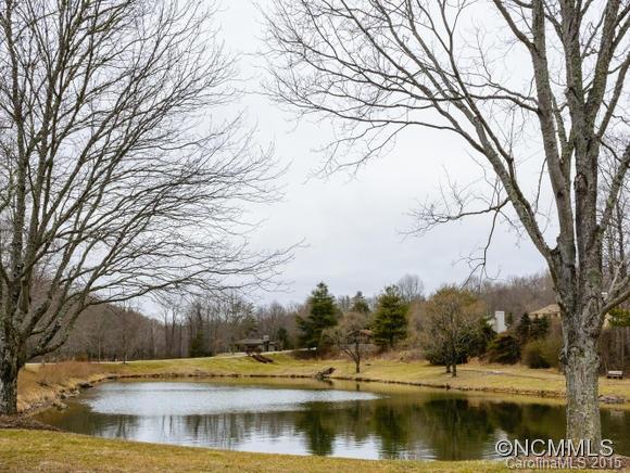 22 Pine Ridge Trail Arden, NC 28704 - Photo 23 of 23 Gallery Image 23