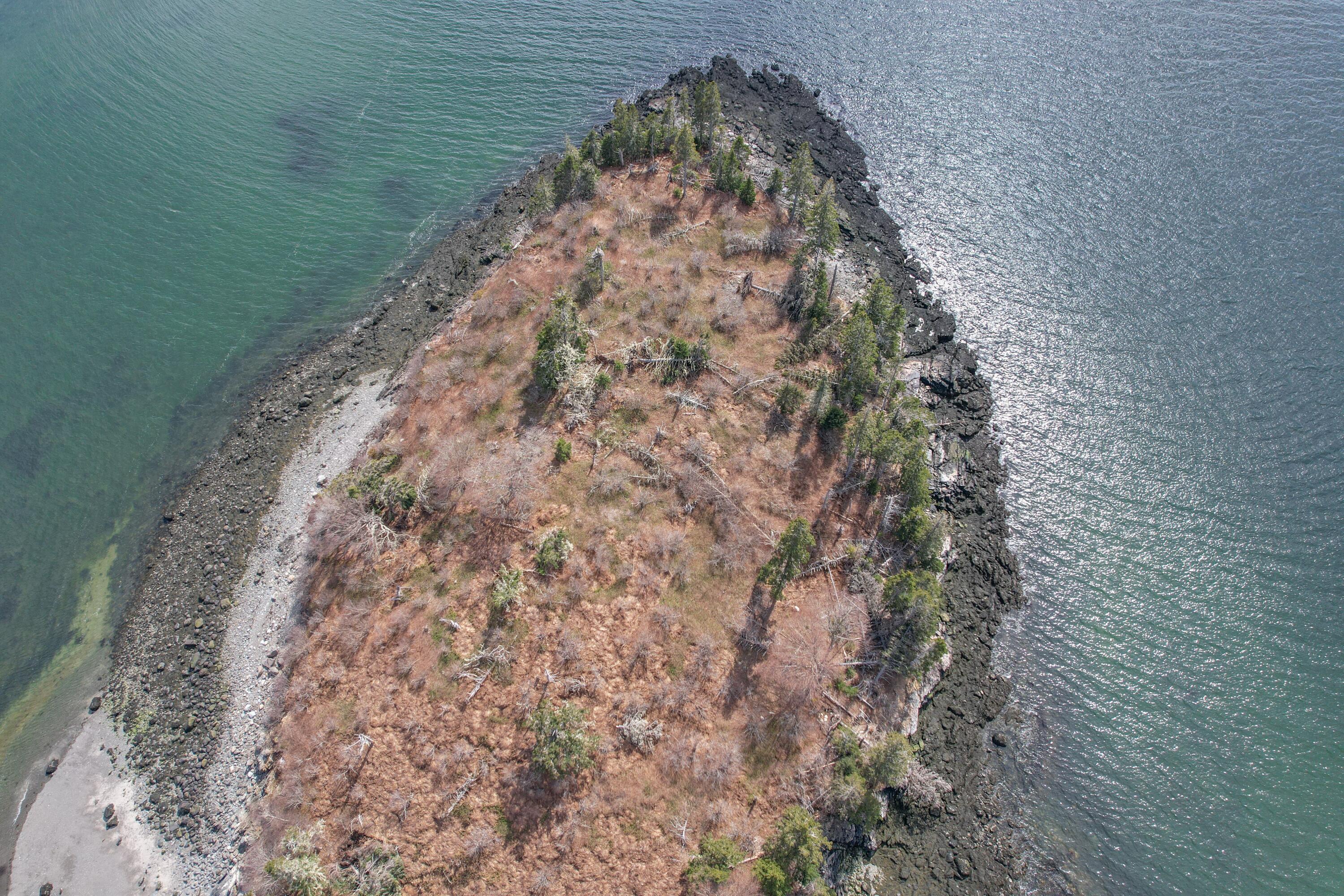 0 Eagle Lane Addison, ME 04606 - Photo 11 of 12 DJI_0947