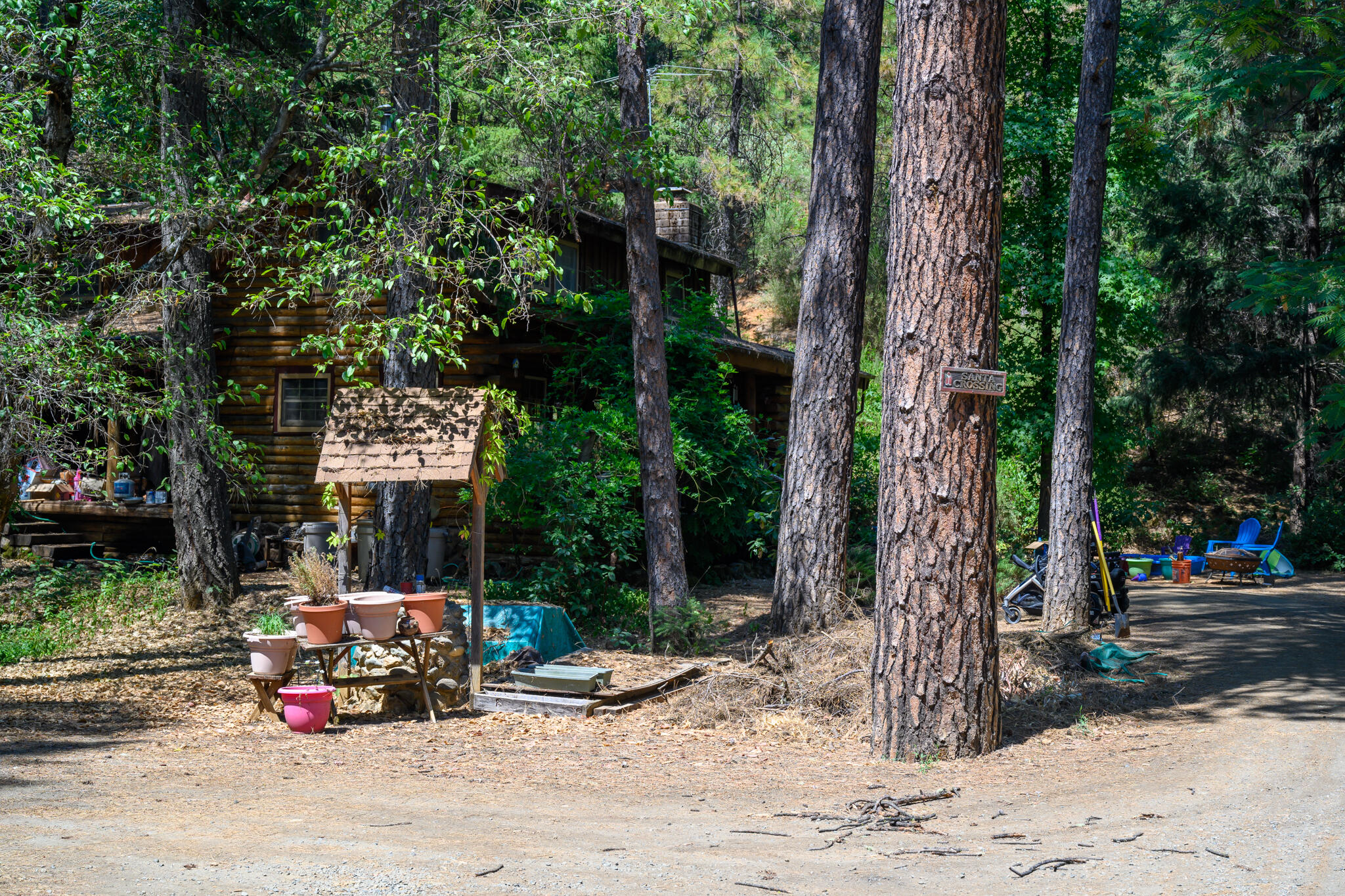 31 Lake Road Junction City, CA 96048 - Photo 42 of 48 landscape