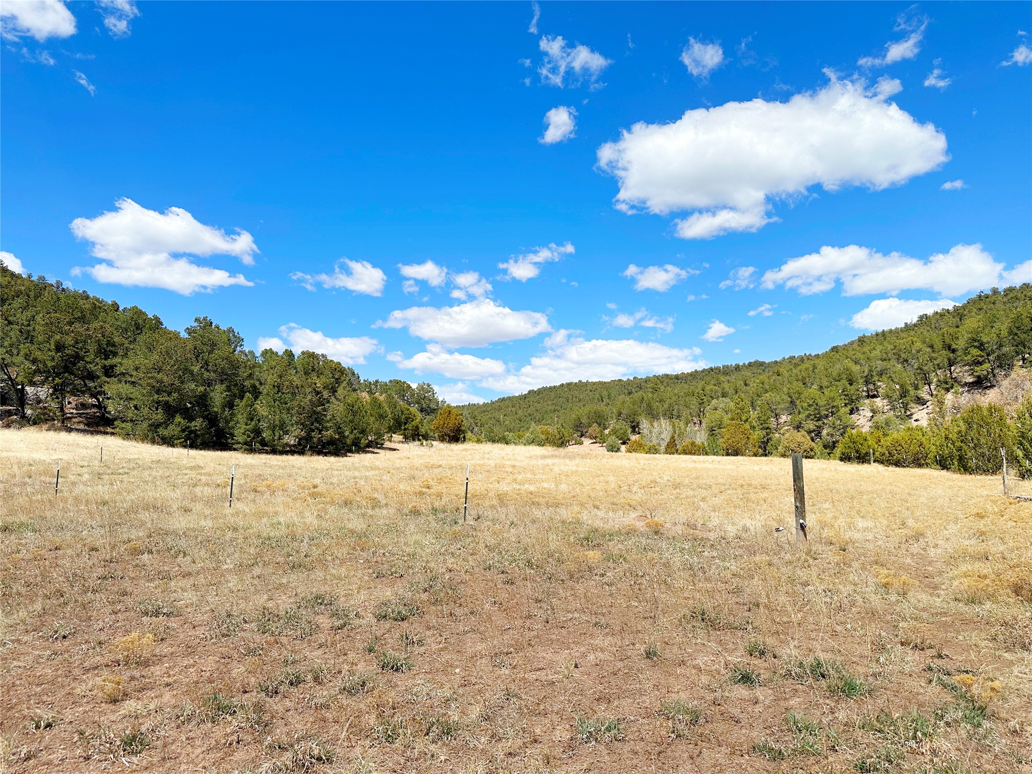 53 County Rd B44C Pecos, NM 87552 - Photo 33 of 51