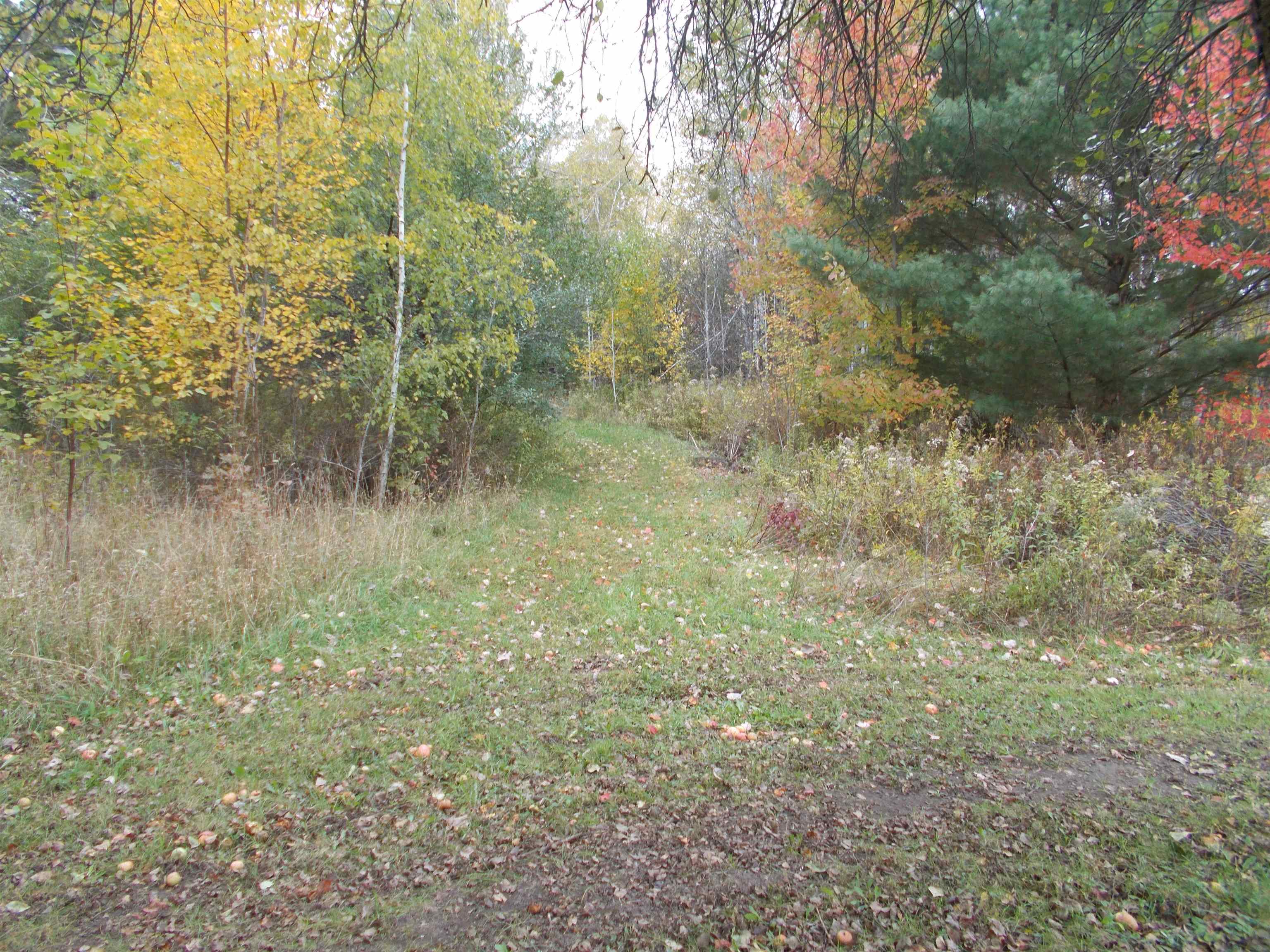 3301 Towerline Road Hale, MI 48739 - Photo 7 of 58
