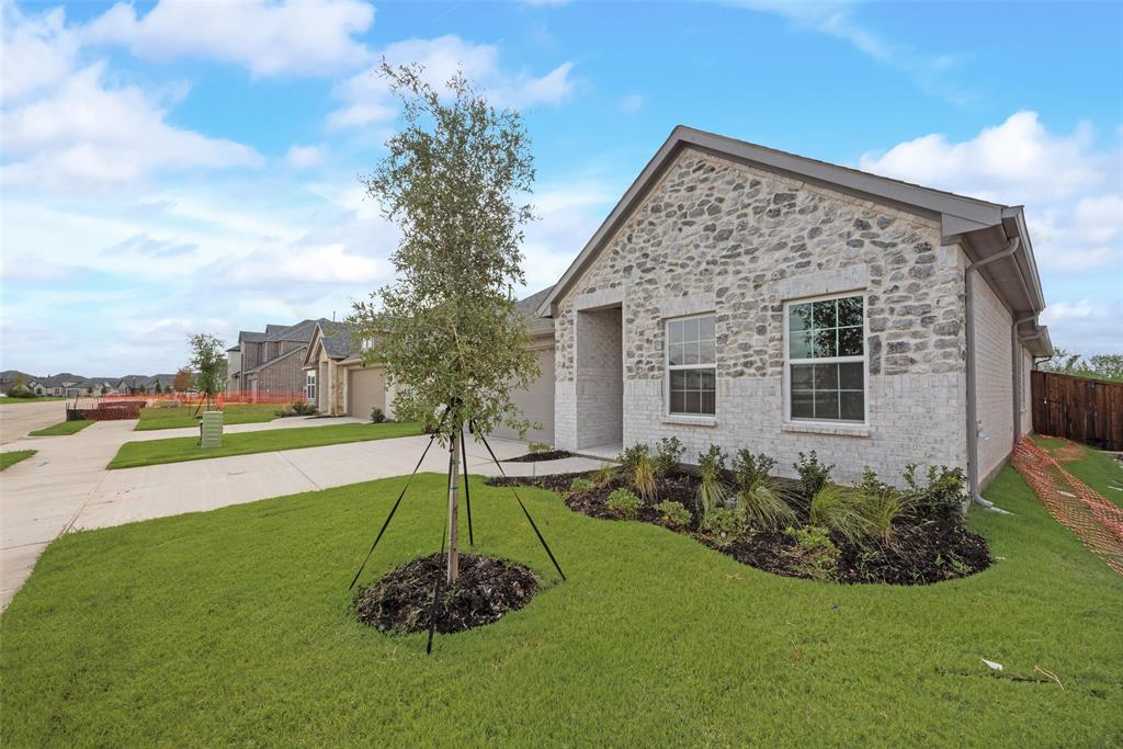 3206 Ferrero Lane Princeton, TX 75407 - Photo 3 of 29 a view of a backyard with a garden