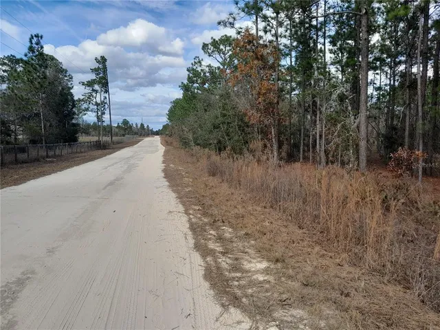 a view of a dry yard with trees