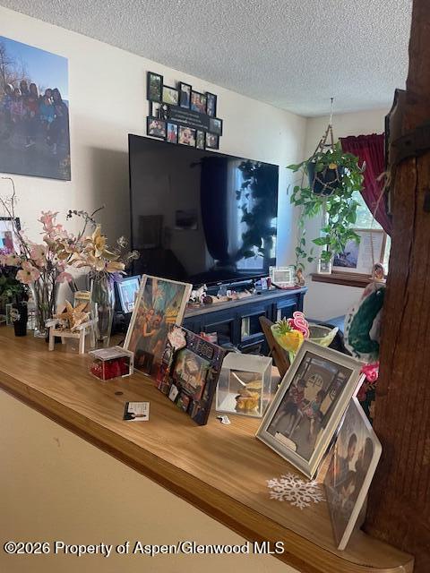 773 West 24th Street Rifle, CO 81650 - Photo 11 of 20 a room with furniture and a flat screen tv