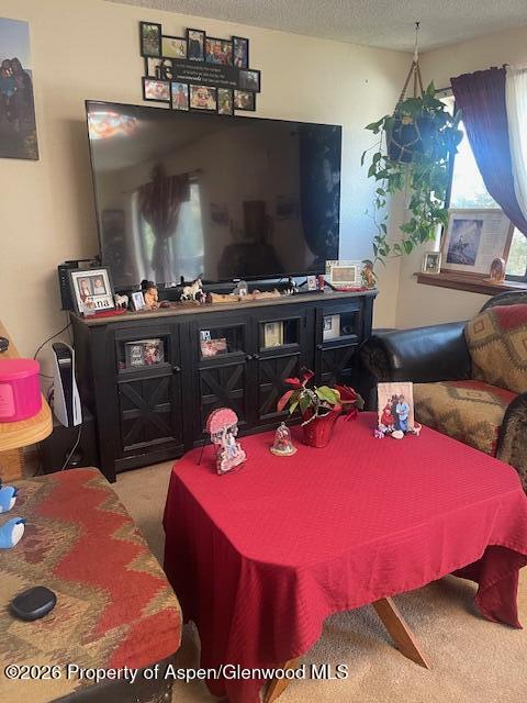 773 West 24th Street Rifle, CO 81650 - Photo 15 of 20 a living room with furniture a flat screen tv and a fireplace