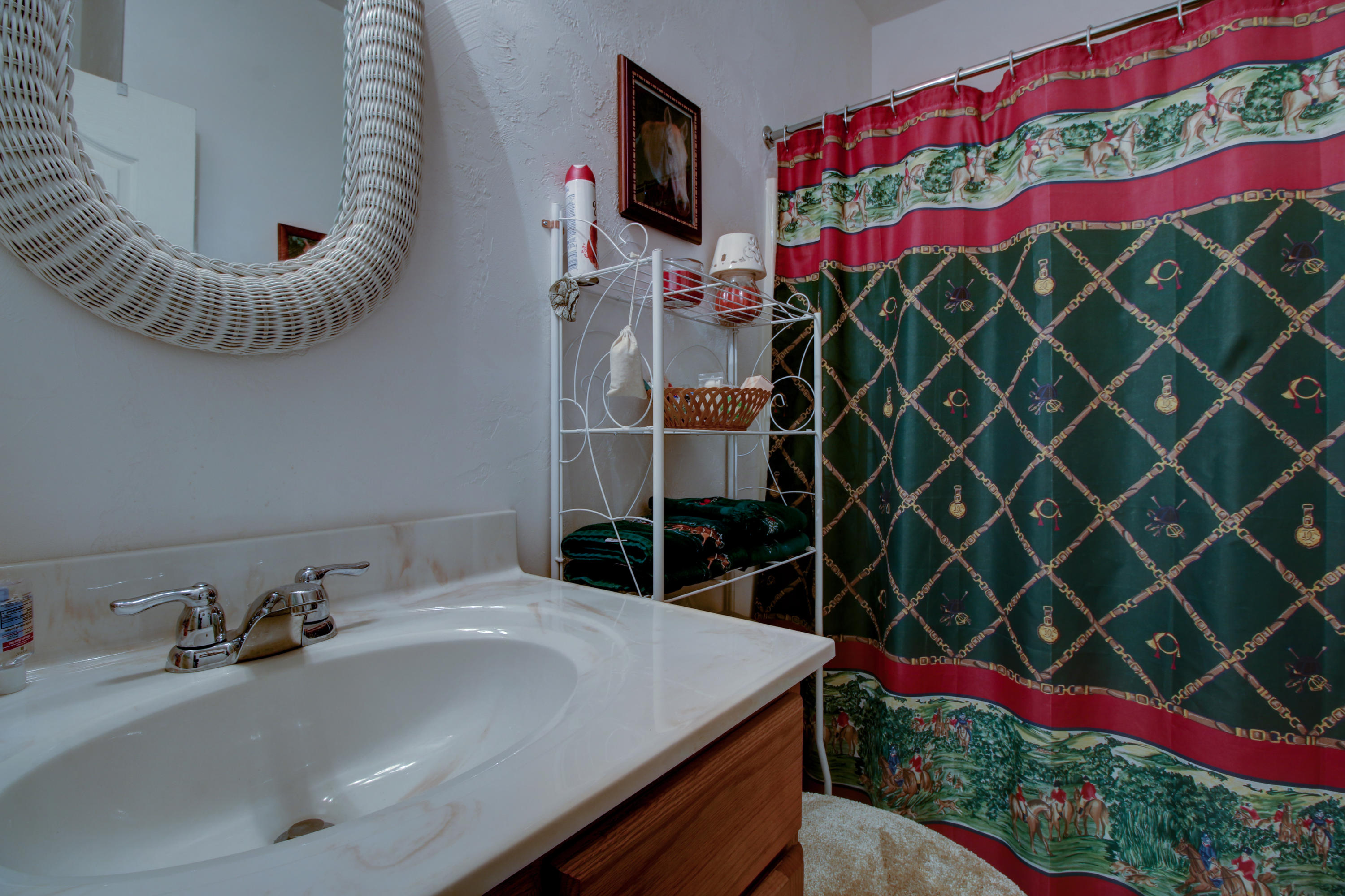 4020 Hatchett Road Penhook, VA 24137 - Photo 28 of 64 a bathroom with a sink and a mirror