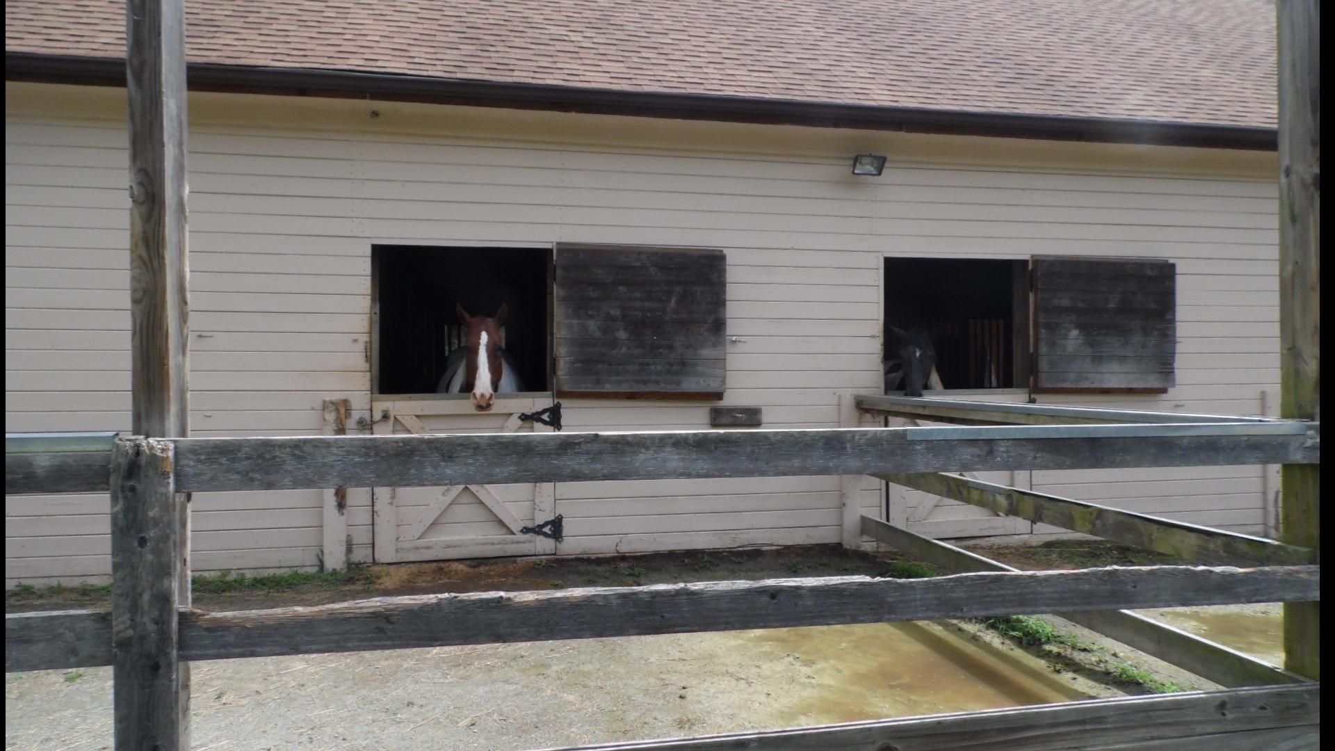 4020 Hatchett Road Penhook, VA 24137 - Photo 48 of 64 12 Barn