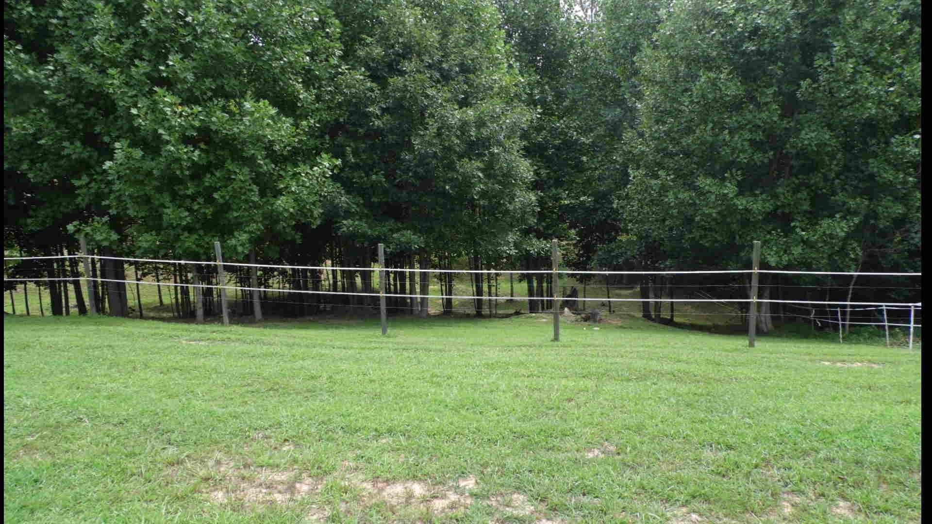 4020 Hatchett Road Penhook, VA 24137 - Photo 50 of 64 13 Pastures