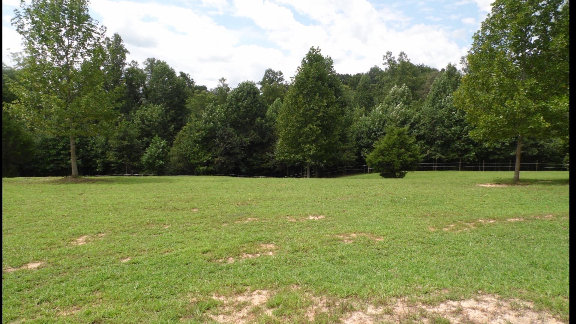 4020 Hatchett Road Penhook, VA 24137 - Photo 52 of 64 14 Pastures