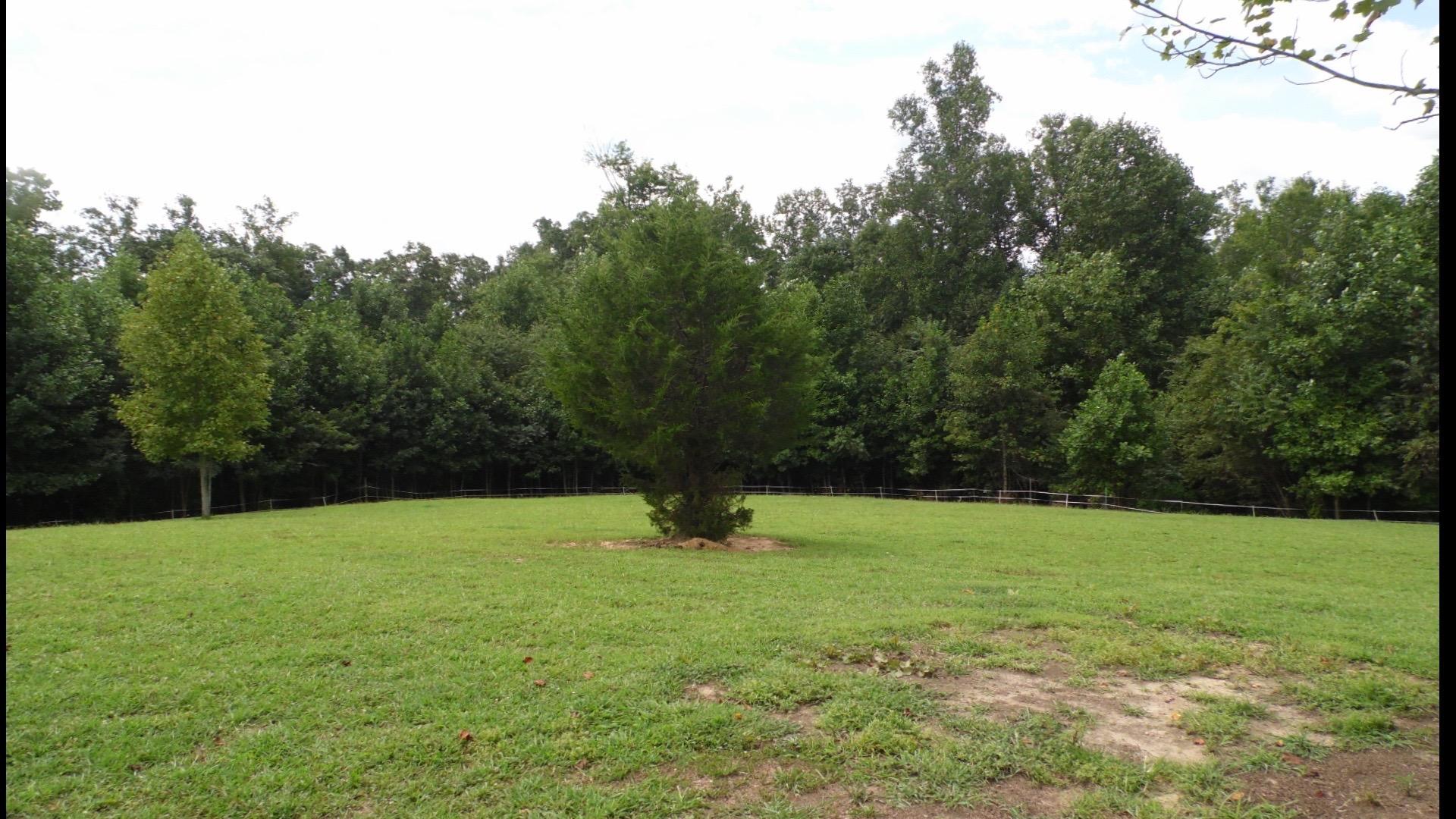 4020 Hatchett Road Penhook, VA 24137 - Photo 53 of 64 a view of field with tall trees