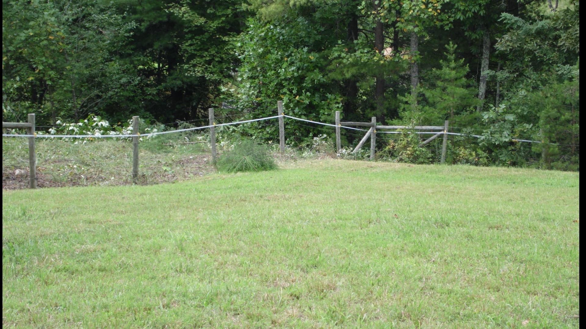 4020 Hatchett Road Penhook, VA 24137 - Photo 54 of 64 17 Pastures