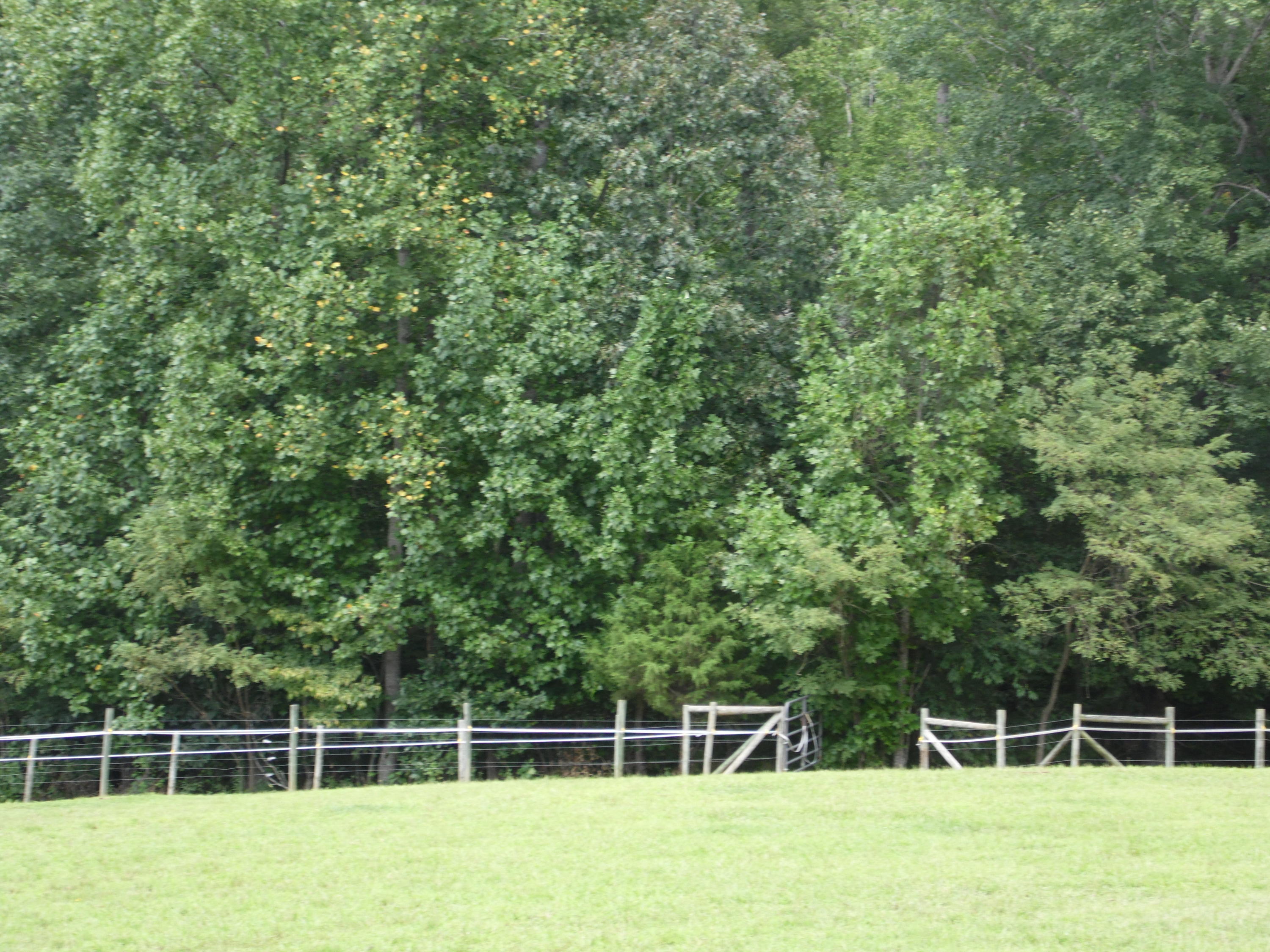 4020 Hatchett Road Penhook, VA 24137 - Photo 58 of 64 a view of a yard with a wooden fence