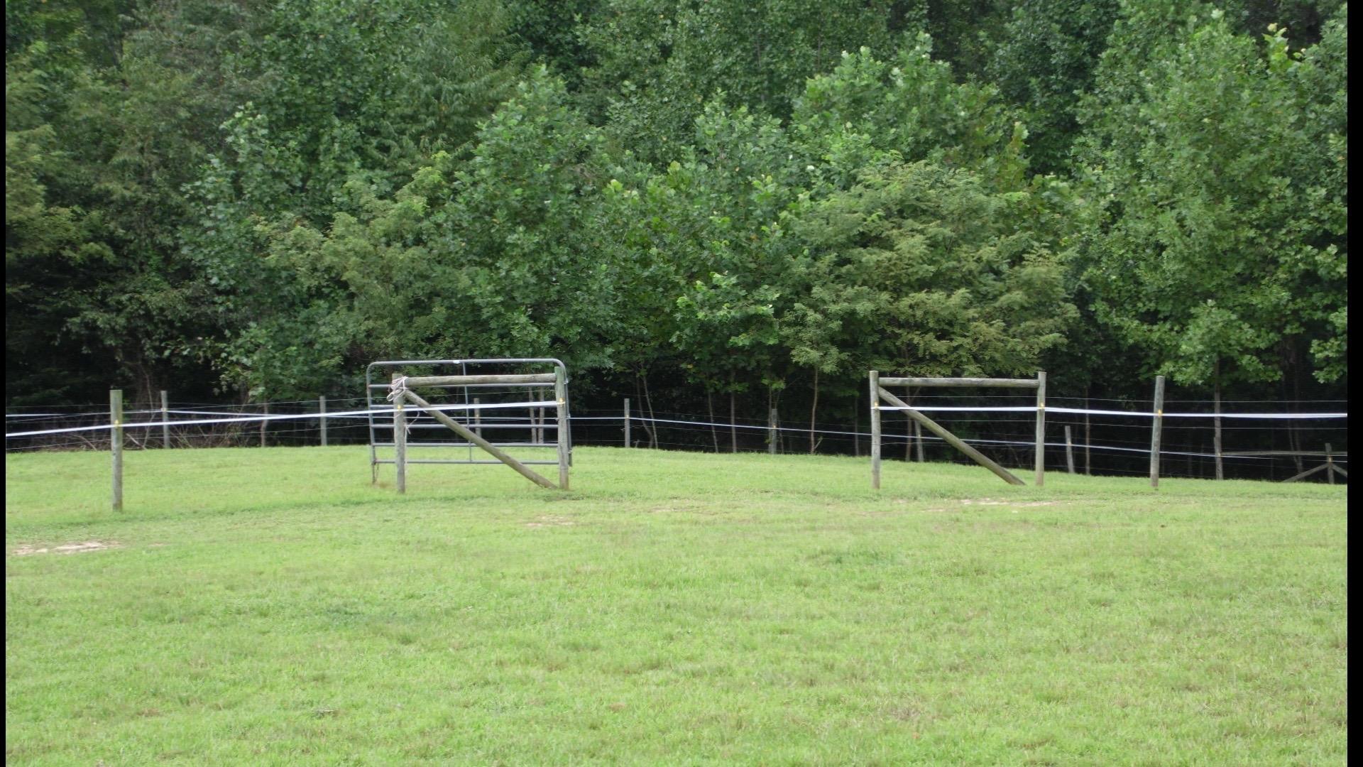 4020 Hatchett Road Penhook, VA 24137 - Photo 59 of 64 22 Pastures
