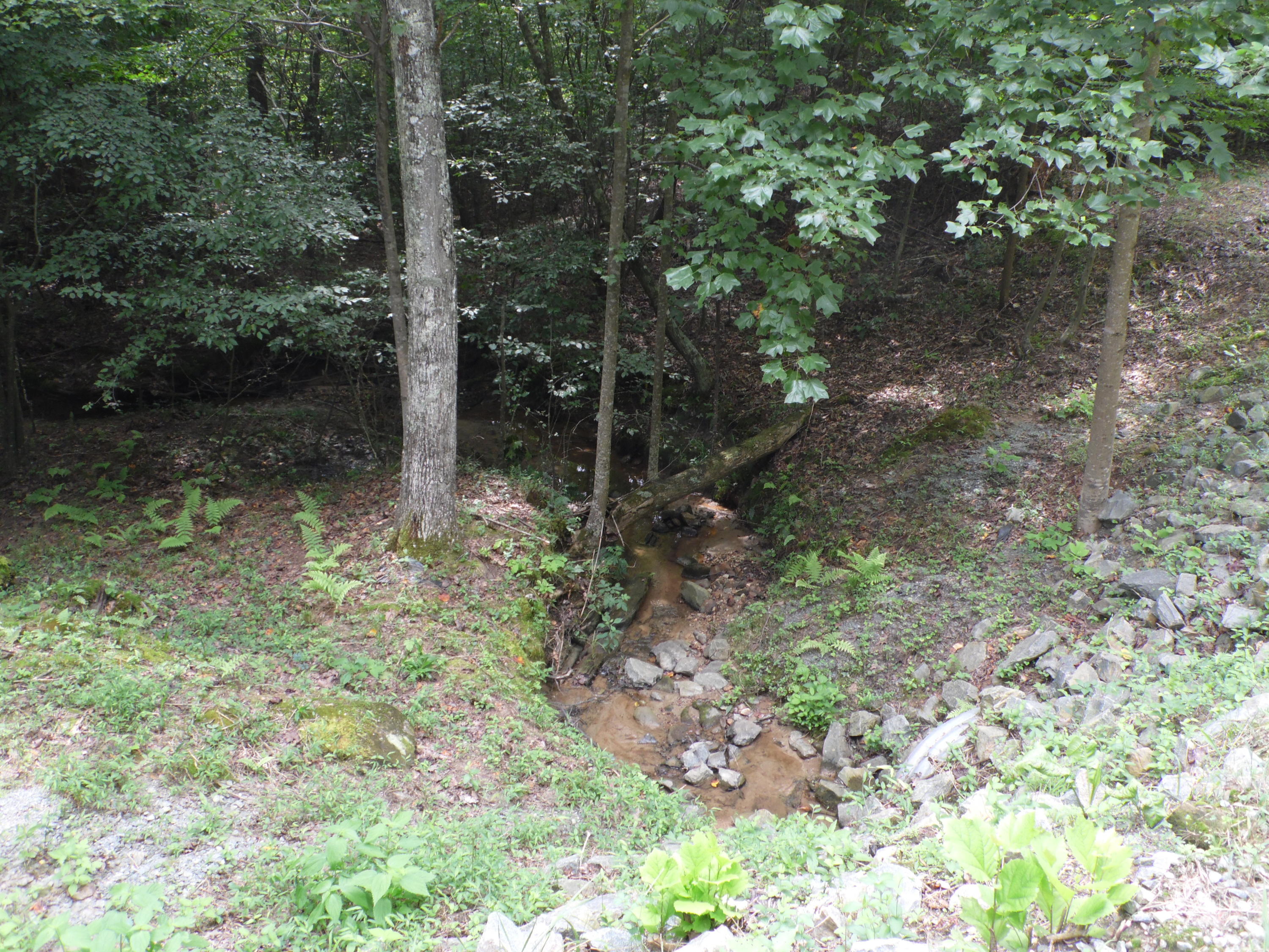 4020 Hatchett Road Penhook, VA 24137 - Photo 60 of 64 a view of a forest with trees