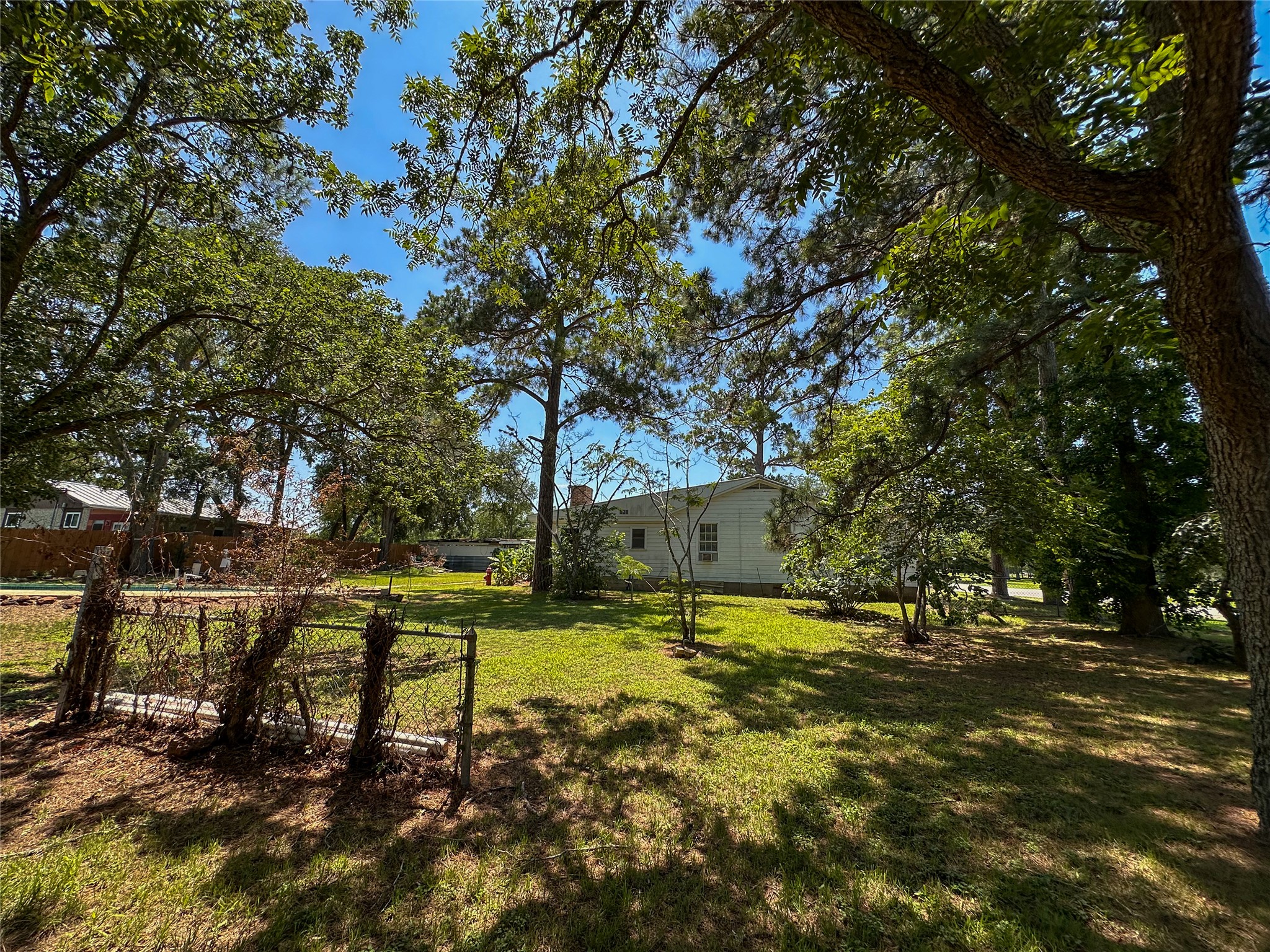 407 4th Avenue Smithville, TX 78957 - Photo 12 of 37 a view of yard with trees