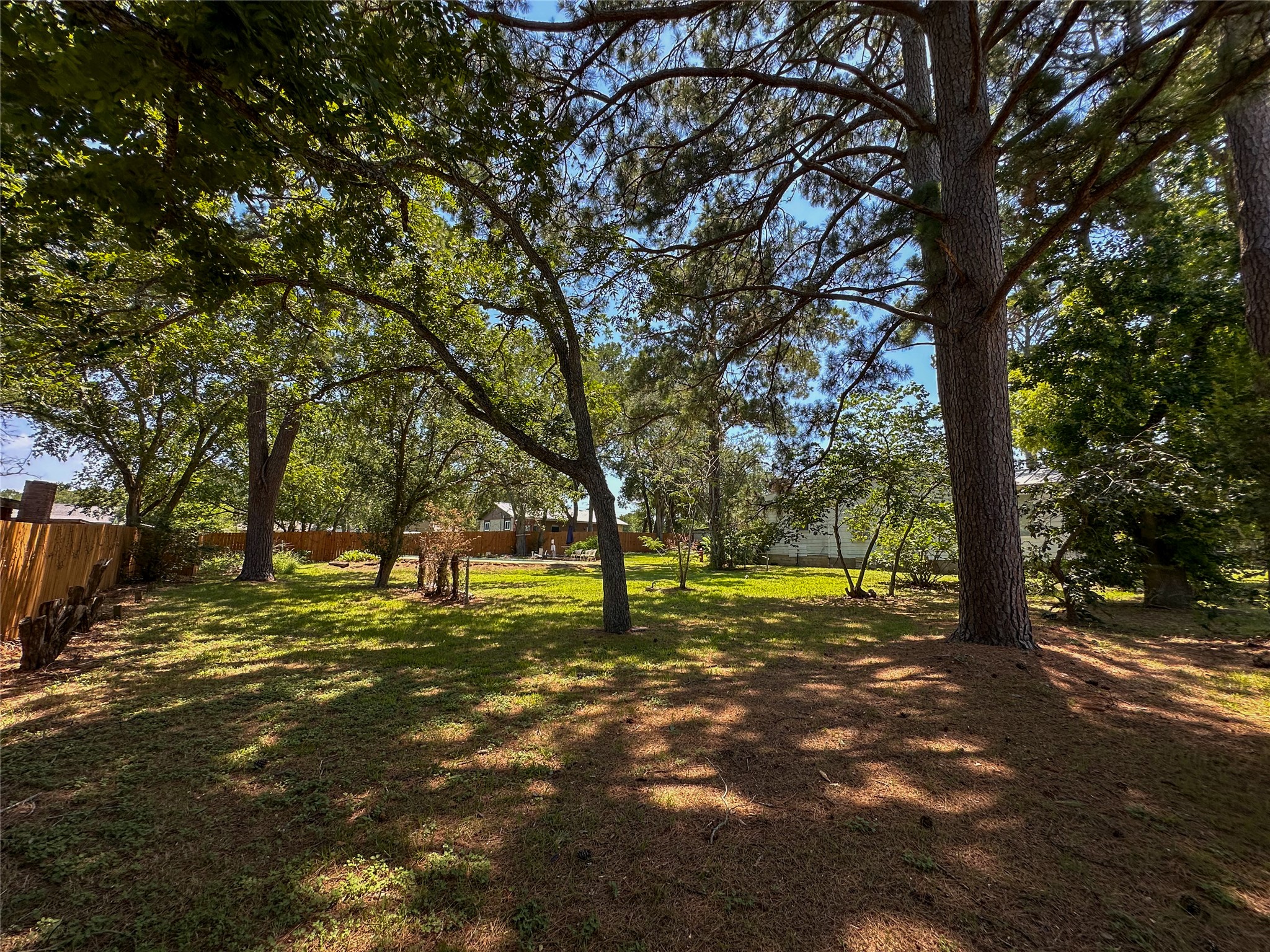 407 4th Avenue Smithville, TX 78957 - Photo 19 of 37 a view of a park with large trees