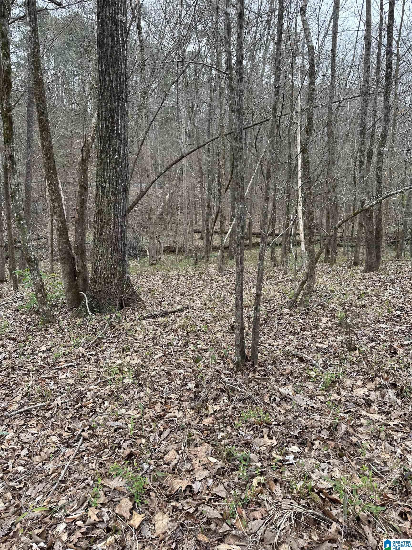 1378 Mill Creek Road Warrior, AL 35180 - Photo 36 of 42
