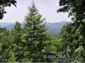 16 Rambling Ridge Road Asheville, NC 28804 - Photo 5 of 5 Gallery Image 5