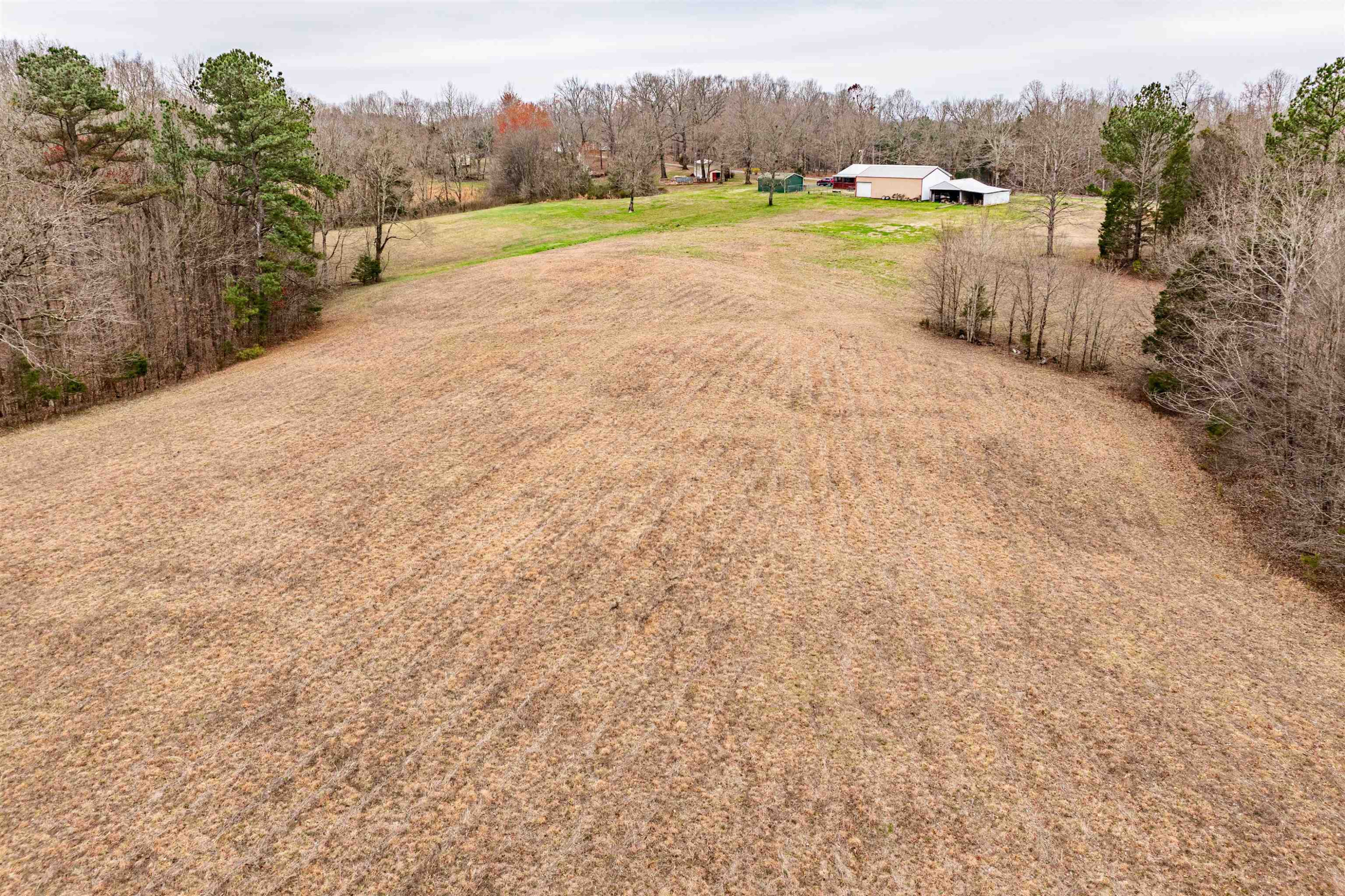 1642 Conrad Ridge Road Holladay, TN 38341 - Photo 11 of 39 Photo 11