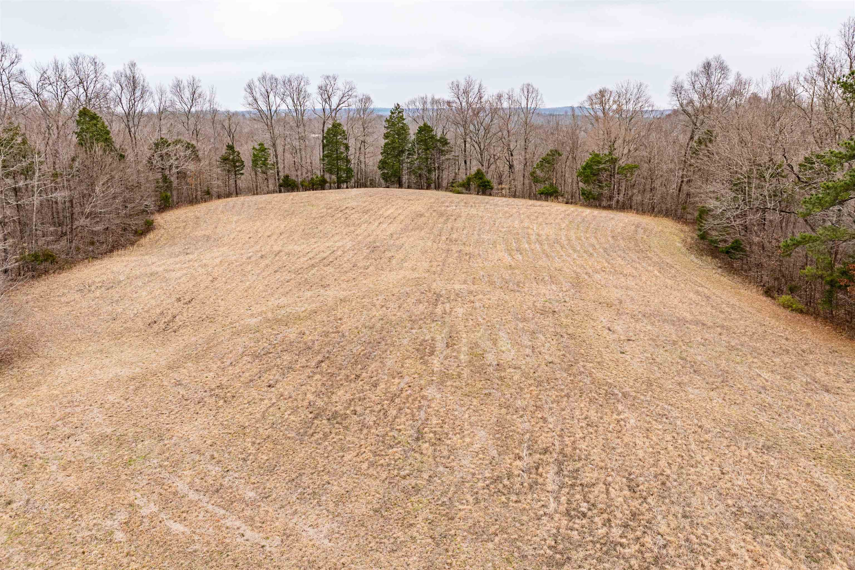 1642 Conrad Ridge Road Holladay, TN 38341 - Photo 12 of 39 Photo 12