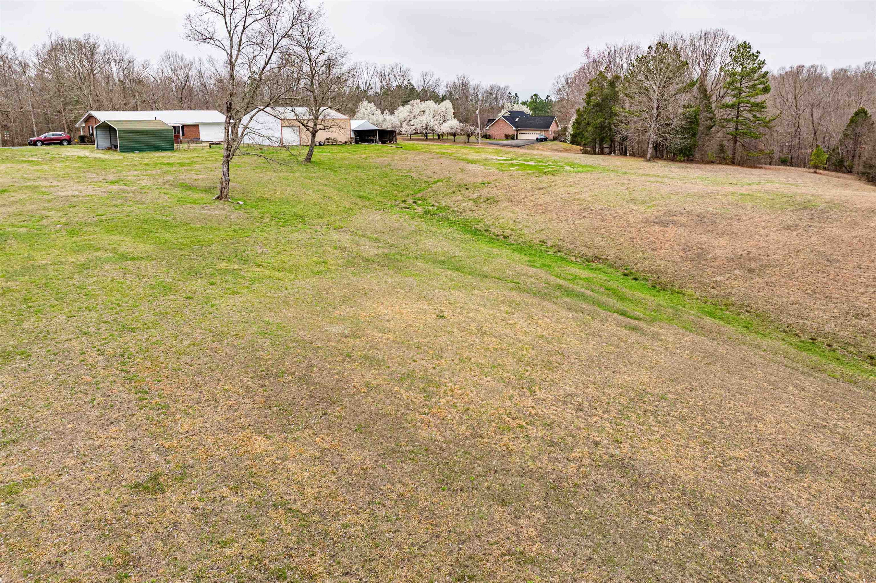 1642 Conrad Ridge Road Holladay, TN 38341 - Photo 14 of 39 Photo 14