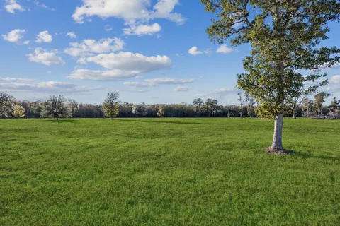 a view of yard with outdoor space and lots of green space