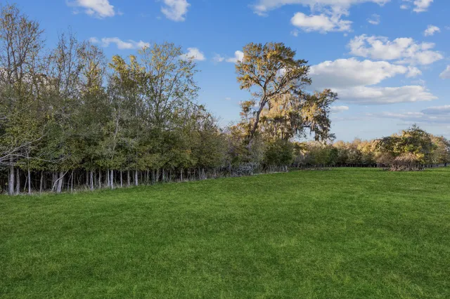 a view of a golf course with a lake