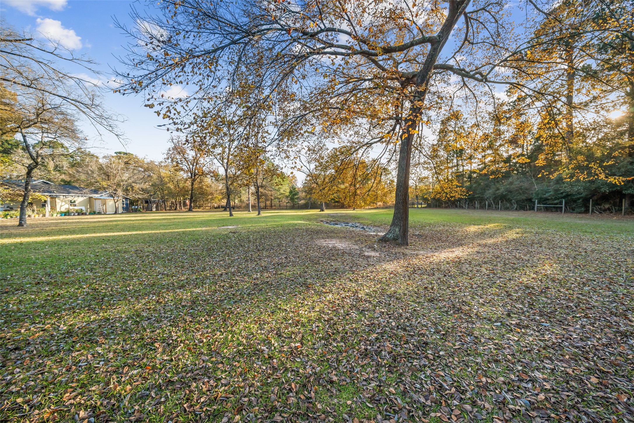 31351 Buckeye Road Waller, TX 77484 - Photo 31 of 36 a view of a park with large trees