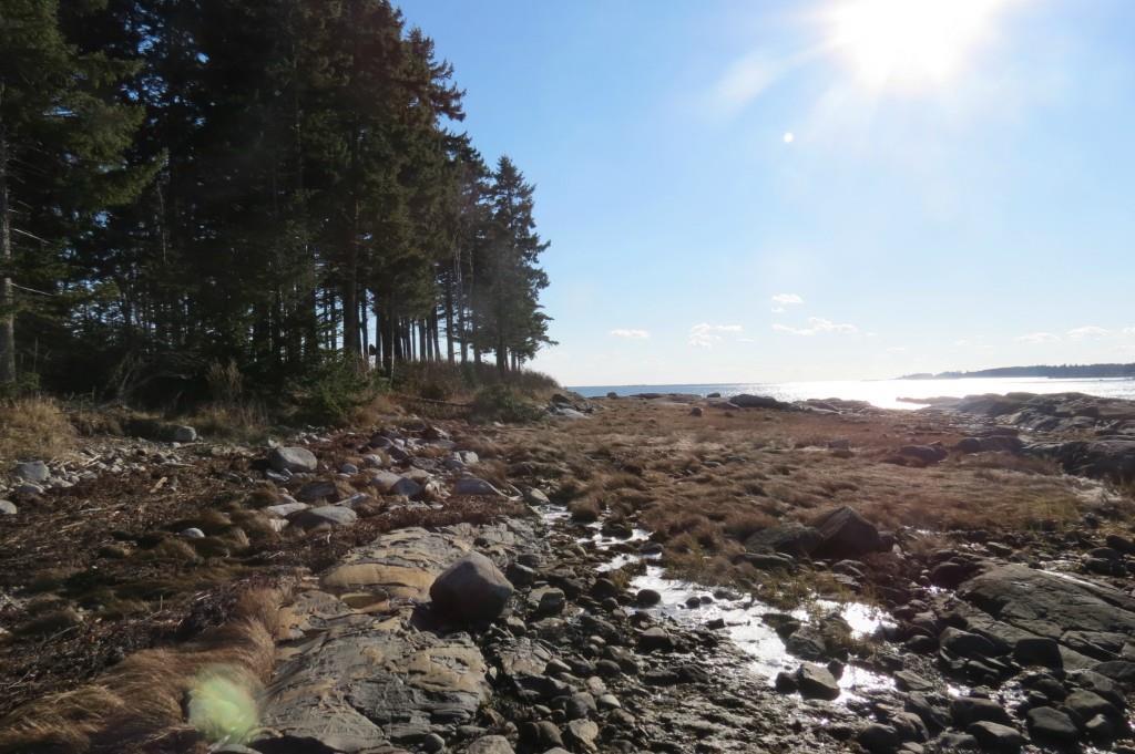 39 Rocky Point Road Spruce Head, ME 04859 - Photo 3 of 23 Photo
