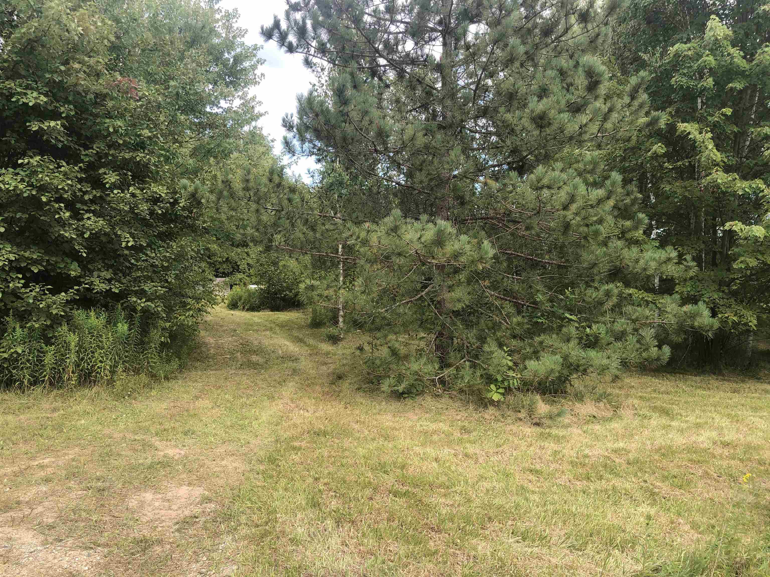 657 South Hockaday Road Gladwin, MI 48624 - Photo 2 of 9