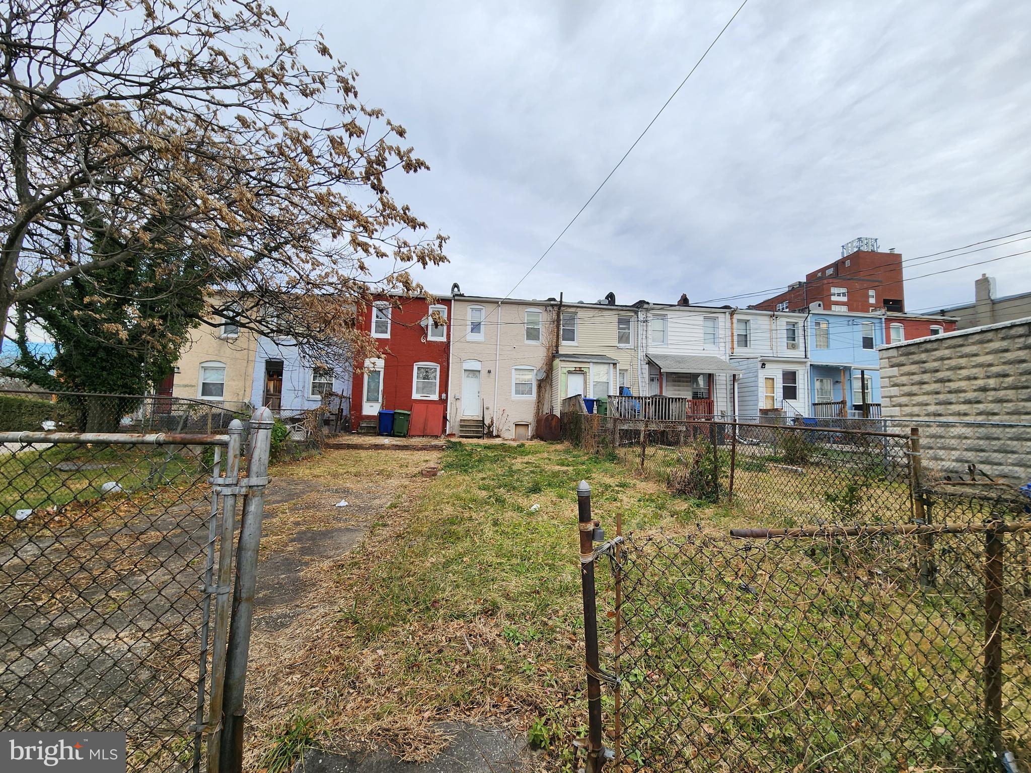 1213 East Lanvale Street Baltimore, MD 21202 - Photo 20 of 22 a view of a house with a yard and large tree