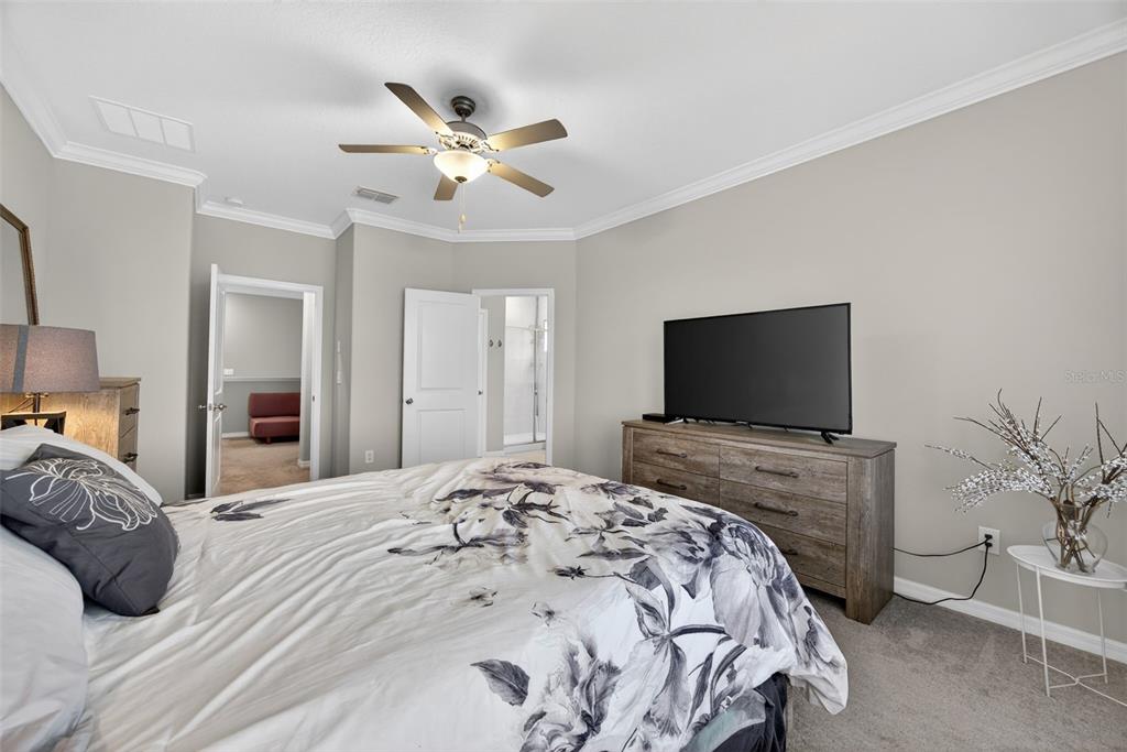 31885 Blue Passing Loop Wesley Chapel, FL 33545 - Photo 28 of 43