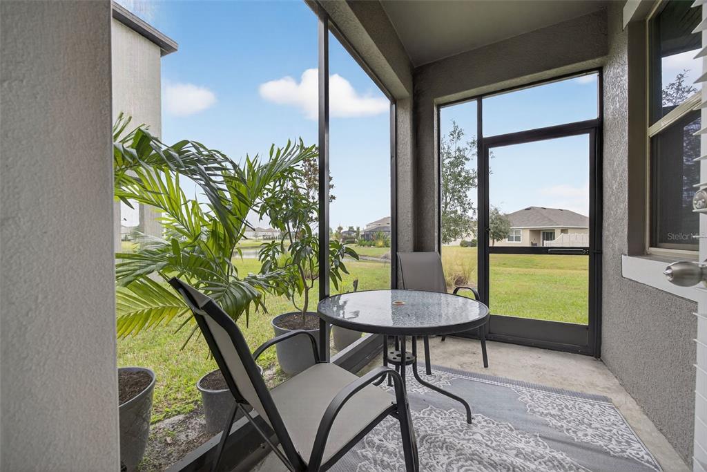 31885 Blue Passing Loop Wesley Chapel, FL 33545 - Photo 31 of 43