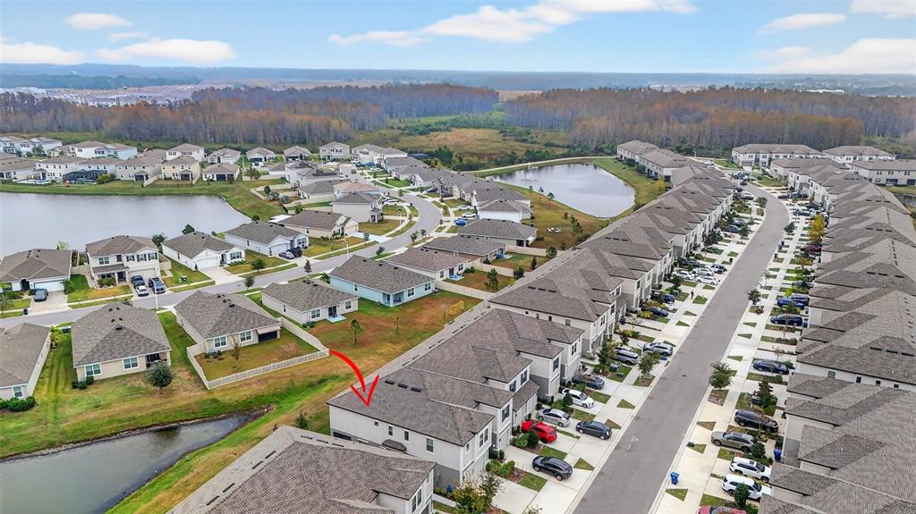 31885 Blue Passing Loop Wesley Chapel, FL 33545 - Photo 41 of 43