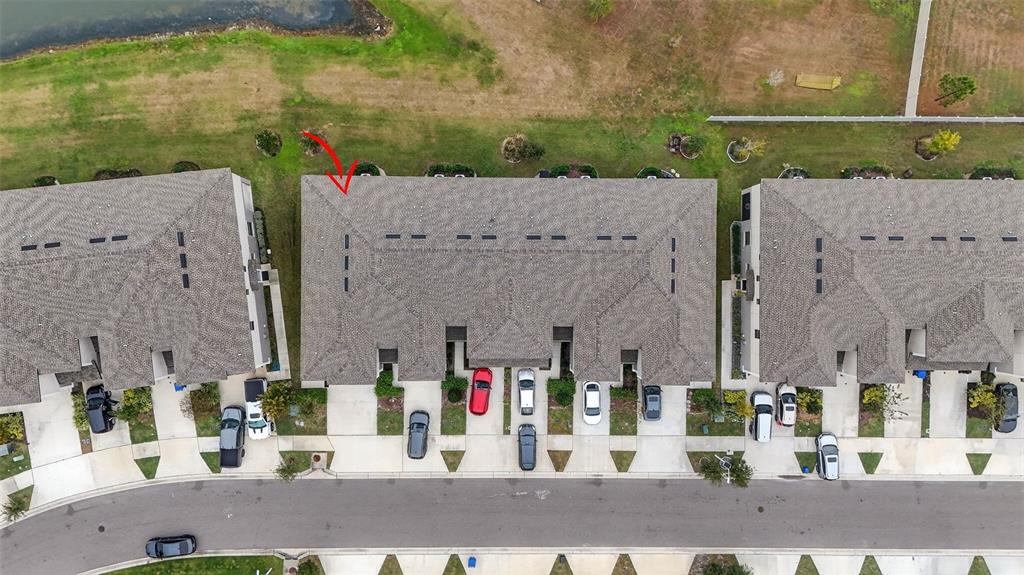 31885 Blue Passing Loop Wesley Chapel, FL 33545 - Photo 42 of 43