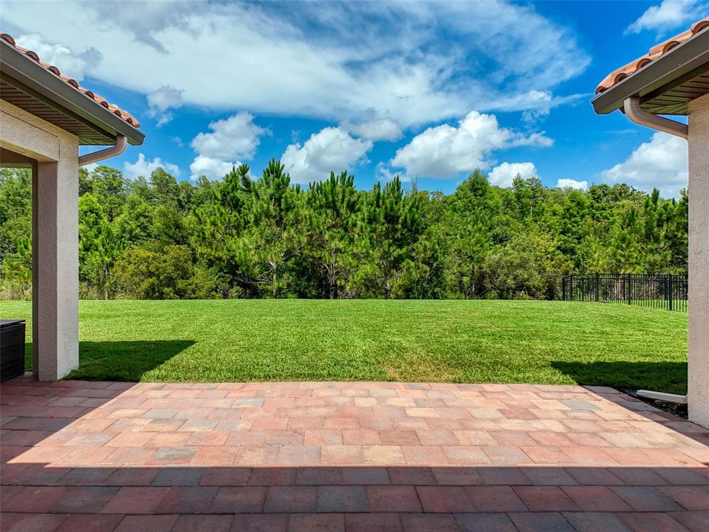 3236 Barbour Trail Odessa, FL 33556 - Photo 47 of 64