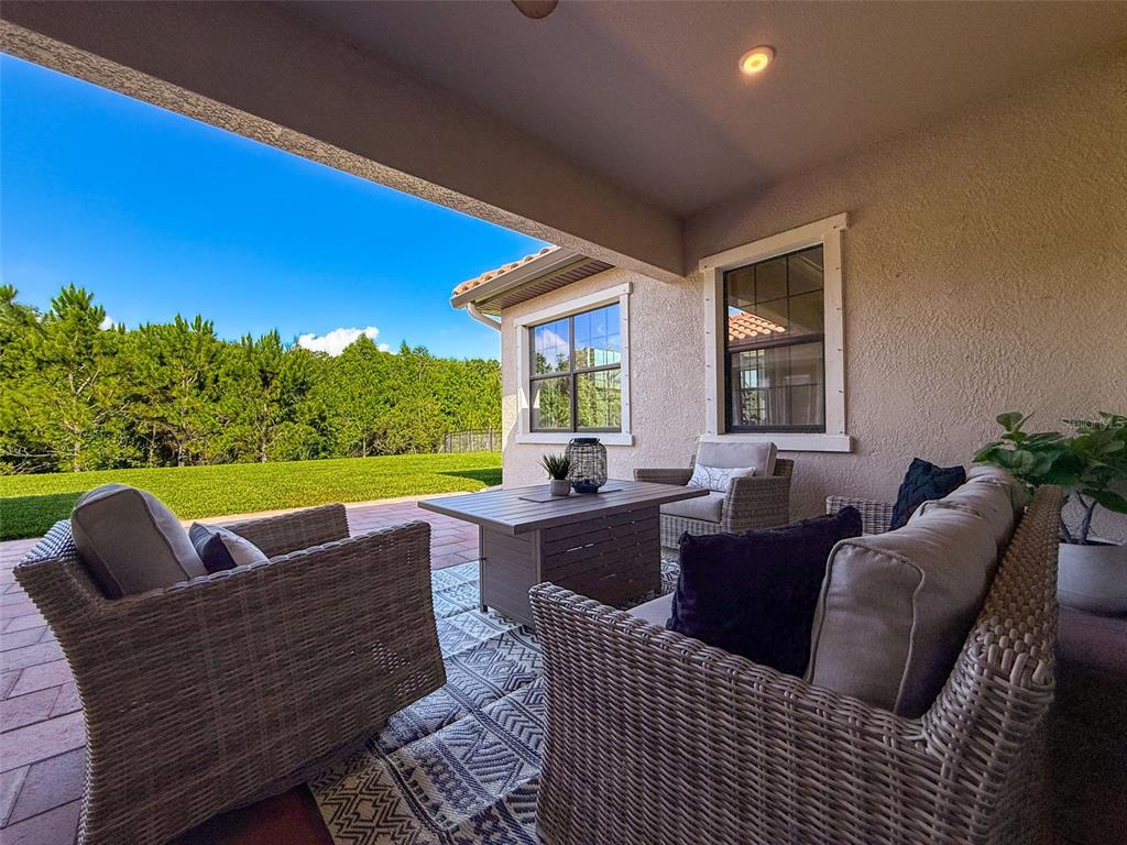 3236 Barbour Trail Odessa, FL 33556 - Photo 48 of 64