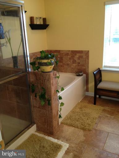 219 Seamaster Road Essex, MD 21221 - Photo 9 of 23 Bath (Master)