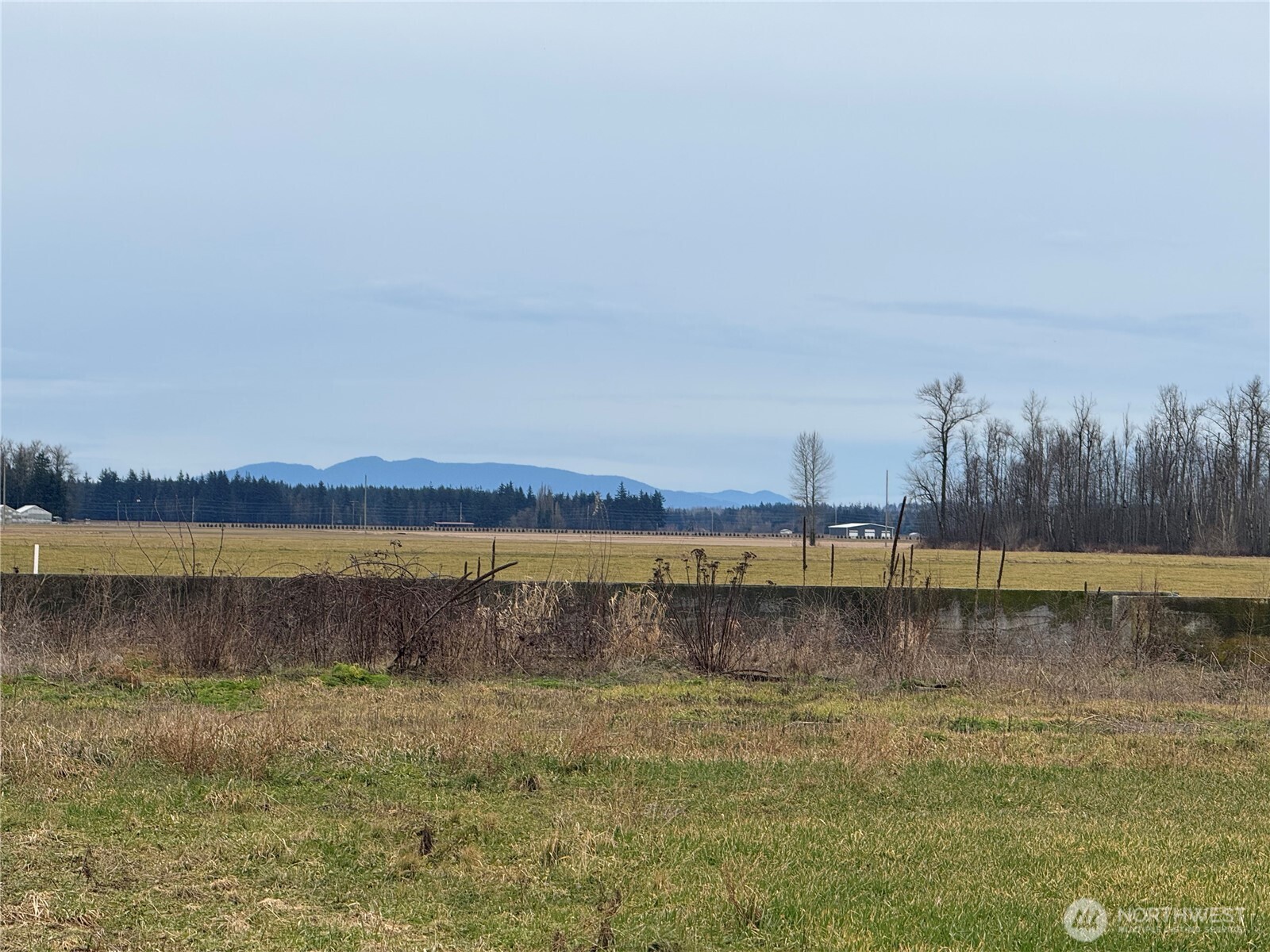1429 West Badger Road Custer, WA 98240 - Photo 7 of 11 a view of a lake with a city