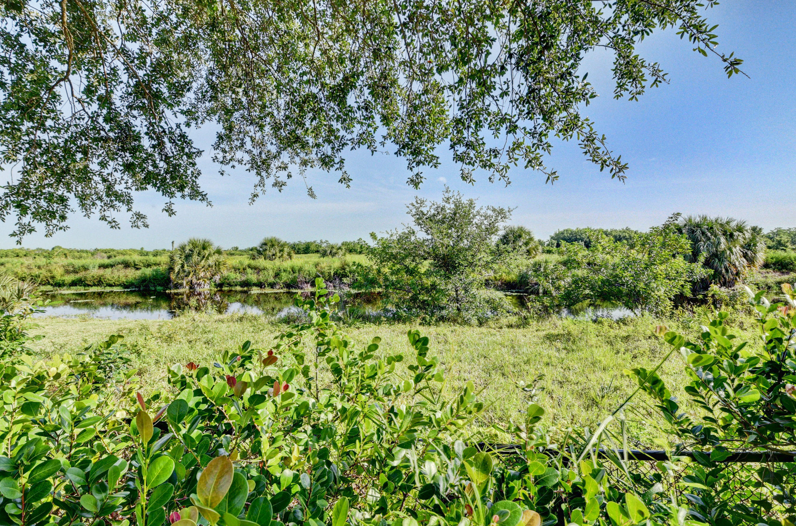 11785 Preservation Lane Boca Raton, FL 33498 - Photo 53 of 53 a view of a garden