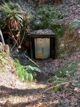 a view of a backyard with swimming pool