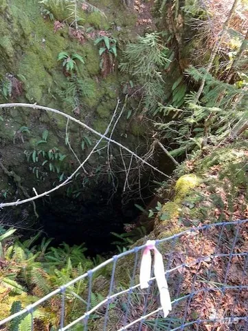 $2,750,000 | 1 Highway 199 Crescent, Gasquet, CA 95543