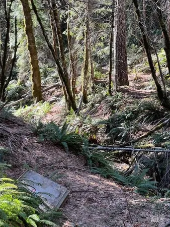 a backyard of a house with lots of green space