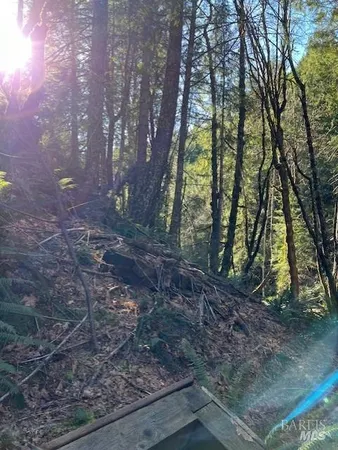 a view of swimming pool with a yard